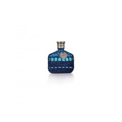 Tualetes ūdens John Varvatos Artisan Blu EDT vīriešiem 75 ml cena un informācija | John Varvatos Smaržas | 220.lv