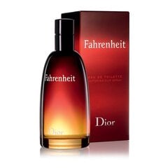 Tualetes ūdens vīriešiem Dior Fahrenheit EDT, 100 ml цена и информация | Мужские духи | 220.lv