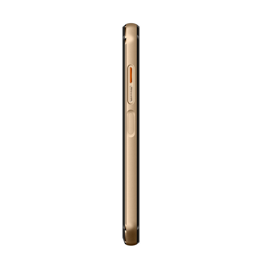 Doogee S30, Gold цена и информация | Mobilie telefoni | 220.lv