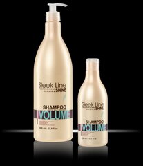 Stapiz Sleek Line Volume šampūns 1000 ml цена и информация | Шампуни | 220.lv