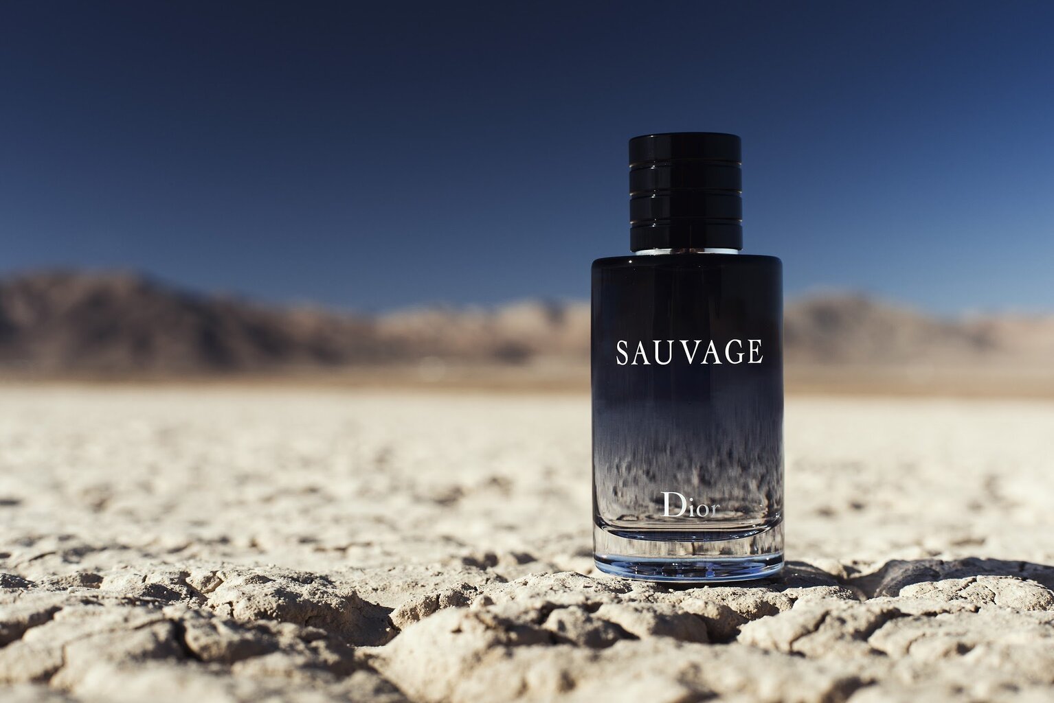 Tualetes ūdens Christian Dior Sauvage edt 60 ml cena un informācija | Vīriešu smaržas | 220.lv