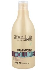 Stapiz Sleek Line Volume šampūns 300 ml цена и информация | Шампуни | 220.lv