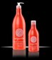 Aizsargājošs, mitrinošs matu šampūns ar argana eļļu Stapiz 300 ml cena un informācija | Šampūni | 220.lv