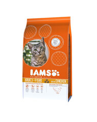 Iams Adult All Breeds с курицей, 10 кг цена и информация | Сухой корм для кошек | 220.lv