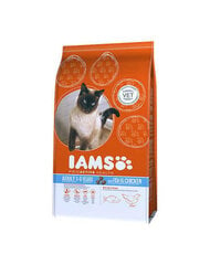 IAMS sausā barība ProActive Health Adult ar zivīm un vistu, 10 kg цена и информация | Сухой корм для кошек | 220.lv