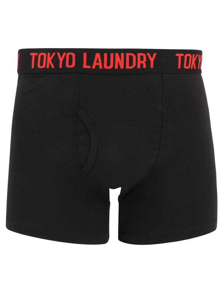 Vīriešu apakšbikses Tokyo Laundry​ (2 gab.) cena un informācija | Vīriešu apakšbikses | 220.lv