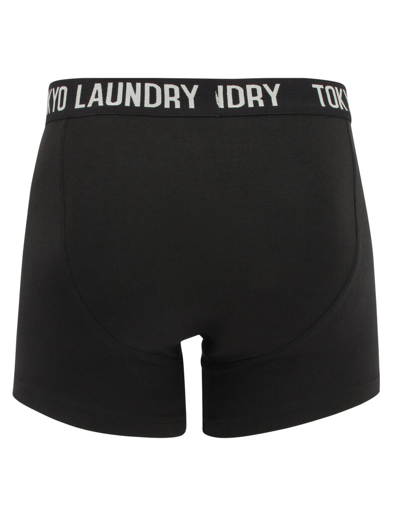 Vīriešu apakšbikses Tokyo Laundry​ (2 gab.) cena un informācija | Vīriešu apakšbikses | 220.lv