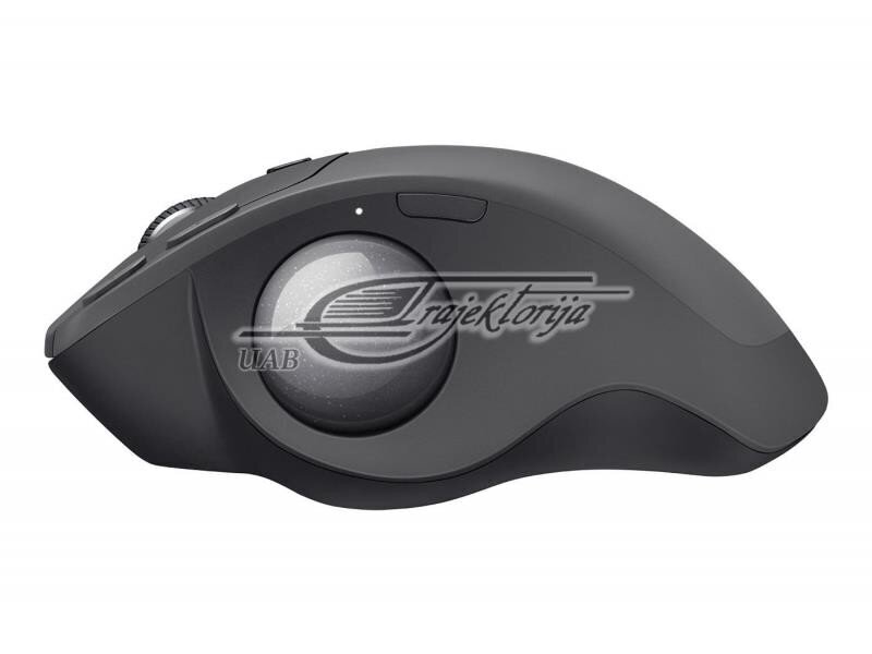 Logitech MX Ergo, melns цена и информация | Peles | 220.lv