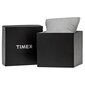 Sieviešu pulkstenis Timex T2N651 cena un informācija | Sieviešu pulksteņi | 220.lv
