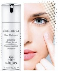 Poru mazinošs līdzeklis Sisley Global Perfect 30 ml цена и информация | Кремы для лица | 220.lv