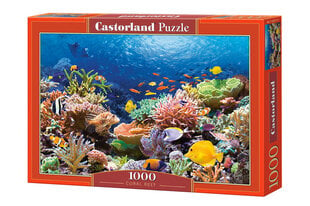 Puzle Puzzle Castorland Coral Reef Fishes, 1000 det. cena un informācija | Puzles, 3D puzles | 220.lv