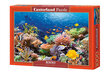Puzle Puzzle Castorland Coral Reef Fishes, 1000 det. цена и информация | Puzles, 3D puzles | 220.lv