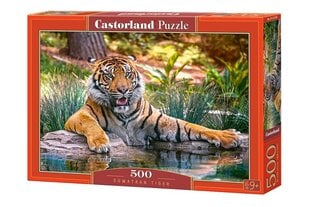 Puzle Castorland Sumatran Tiger, 500 det. cena un informācija | Puzles, 3D puzles | 220.lv