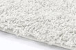 Paklājs Shaggy White, 60 x 100 cm цена и информация | Paklāji | 220.lv