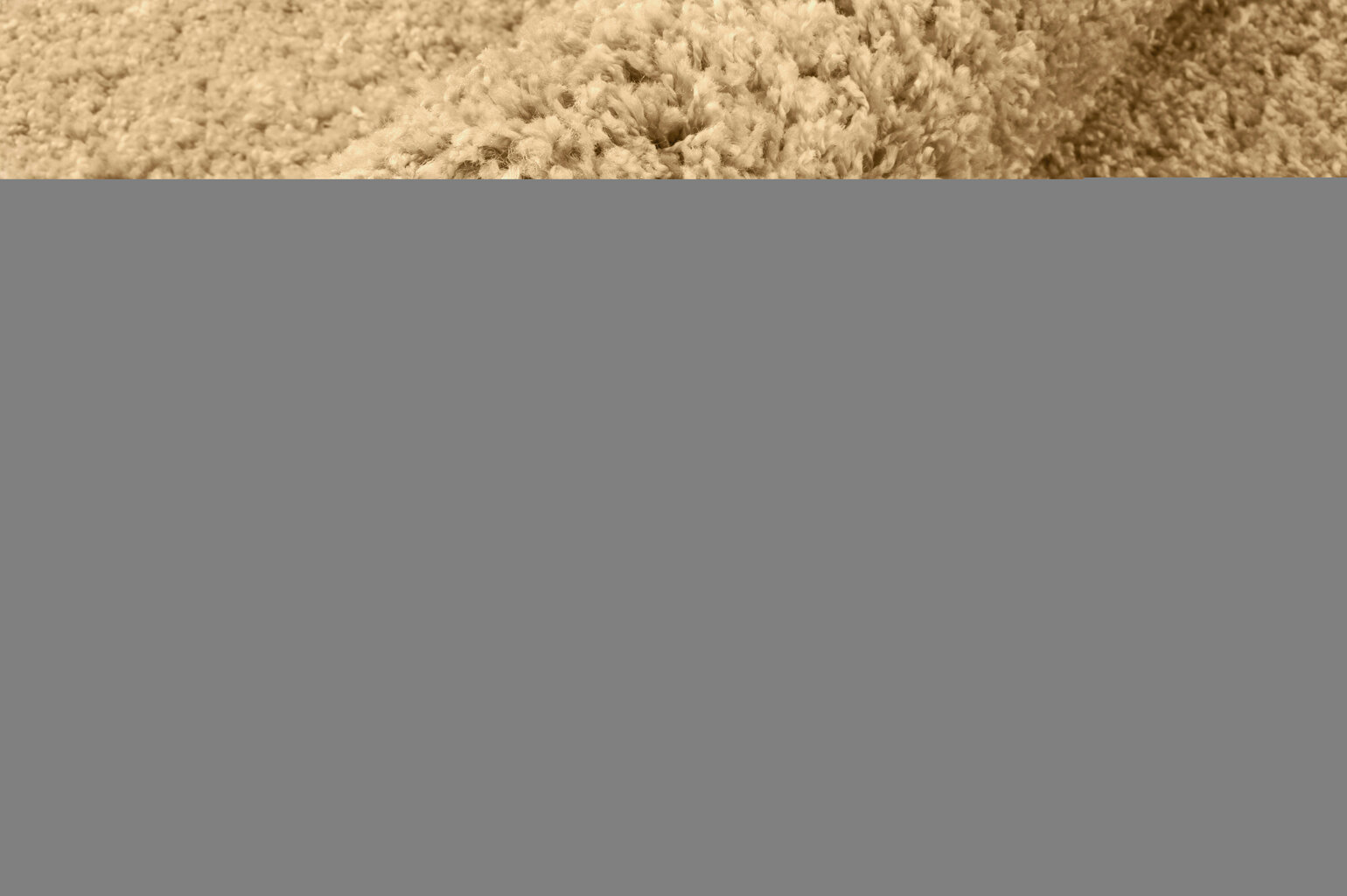 Paklājs Shaggy Caramel, 60 x 100 cm cena un informācija | Paklāji | 220.lv