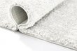 Paklājs Shaggy White, 100 x 200 cm cena un informācija | Paklāji | 220.lv