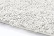 Paklājs Shaggy White, 100 x 200 cm цена и информация | Paklāji | 220.lv