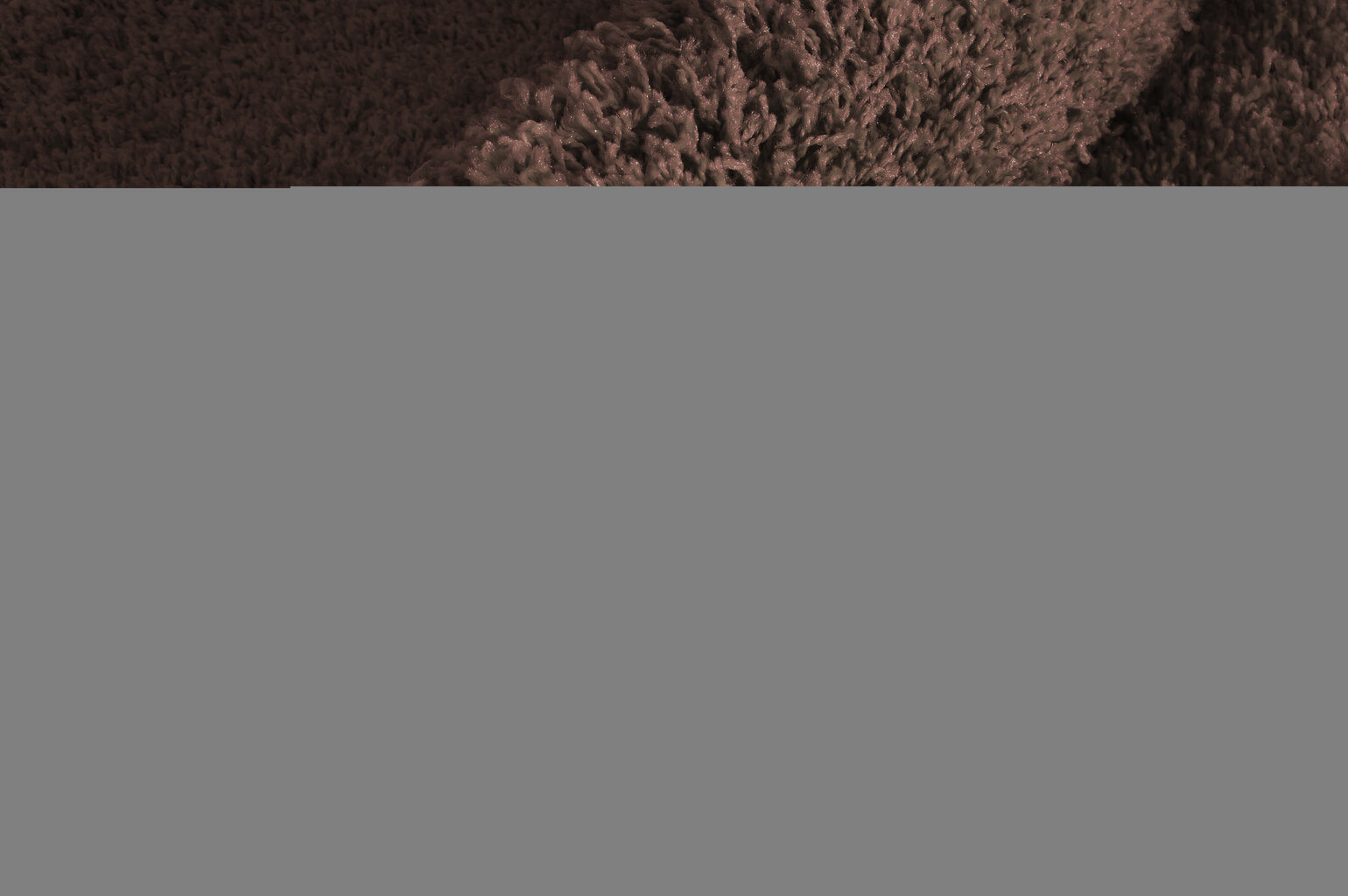 Paklājs Shaggy Brown, 100 x 200 cm cena un informācija | Paklāji | 220.lv