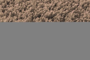 Paklājs Shaggy Cappuccino, 160 x 220 cm цена и информация | Ковры | 220.lv