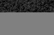 Paklājs Shaggy Black, 120 x 170 cm цена и информация | Paklāji | 220.lv