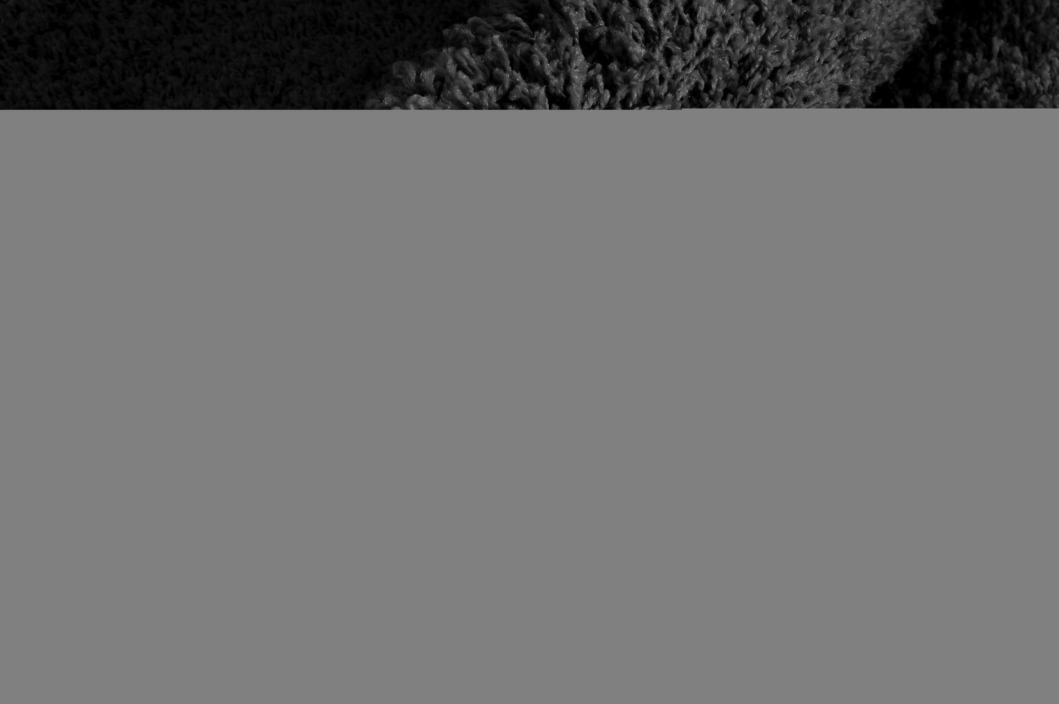 Paklājs Shaggy Black, 120 x 170 cm cena un informācija | Paklāji | 220.lv