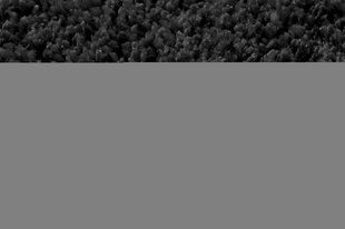 Ковёр Shaggy Black, 160 x 220 см цена и информация | Ковры | 220.lv