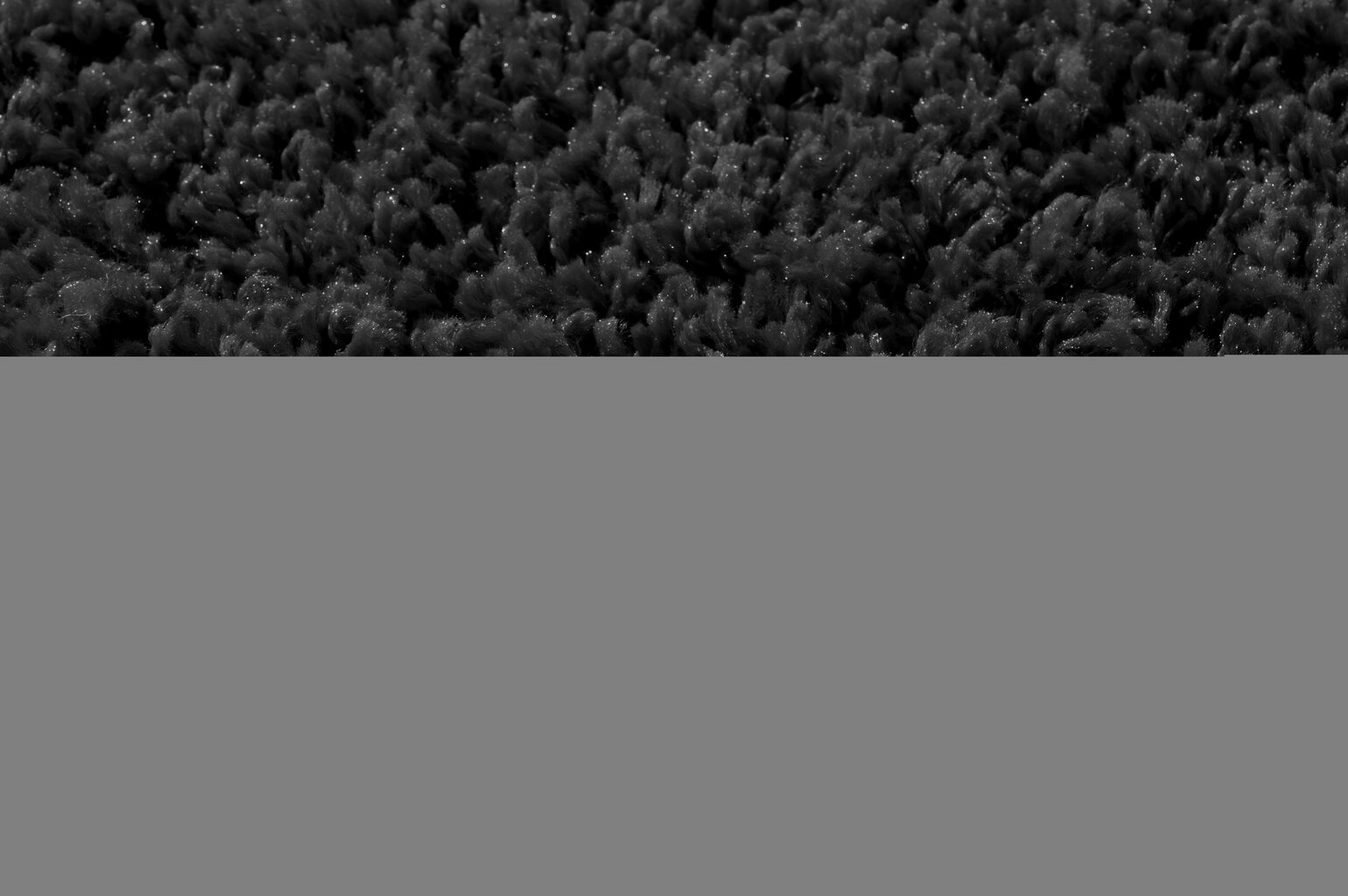 Paklājs Shaggy Black, 200 x 290 cm cena un informācija | Paklāji | 220.lv