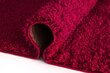 Paklājs Shaggy Red, 80 x 150 cm cena un informācija | Paklāji | 220.lv