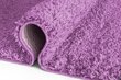 Paklājs Shaggy Lavender, 60 x 100 cm cena un informācija | Paklāji | 220.lv