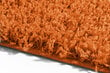 Paklājs Shaggy Orange, 60 x 100 cm цена и информация | Paklāji | 220.lv