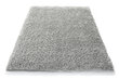 Paklājs Shaggy Grey, 60 x 100 cm cena un informācija | Paklāji | 220.lv