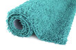 Paklājs Shaggy Turquoise, 60 x 100 cm цена и информация | Paklāji | 220.lv