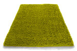 Paklājs Shaggy Green, 60 x 100 cm