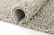 Paklājs Shaggy Latte, 120 x 170 cm цена и информация | Paklāji | 220.lv