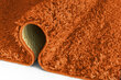 Paklājs Shaggy Orange, 200 x 290 cm цена и информация | Paklāji | 220.lv