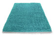 Paklājs Shaggy Turquoise, 120 x 170 cm cena un informācija | Paklāji | 220.lv