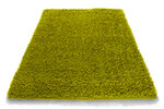 Paklājs Shaggy Green, 80 x 150 cm