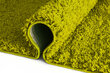 Paklājs Shaggy Green, 200 x 290 cm цена и информация | Paklāji | 220.lv