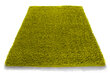 Paklājs Shaggy Green, 200 x 290 cm cena un informācija | Paklāji | 220.lv