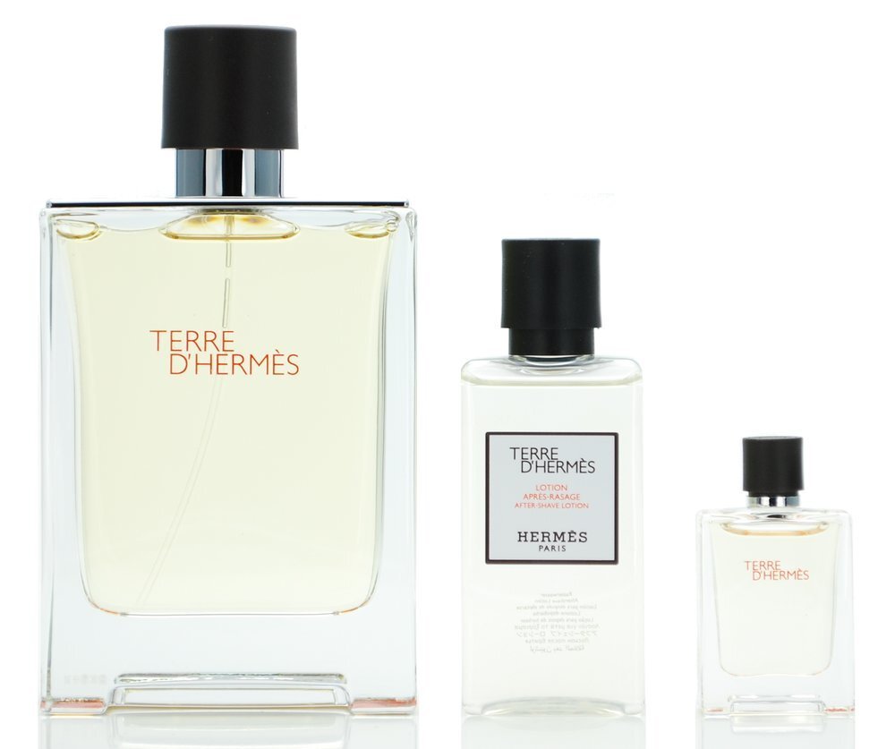 Hermes Terre D´Hermes dāvanu komplekts EDT 100 ml cena un informācija | Vīriešu smaržas | 220.lv