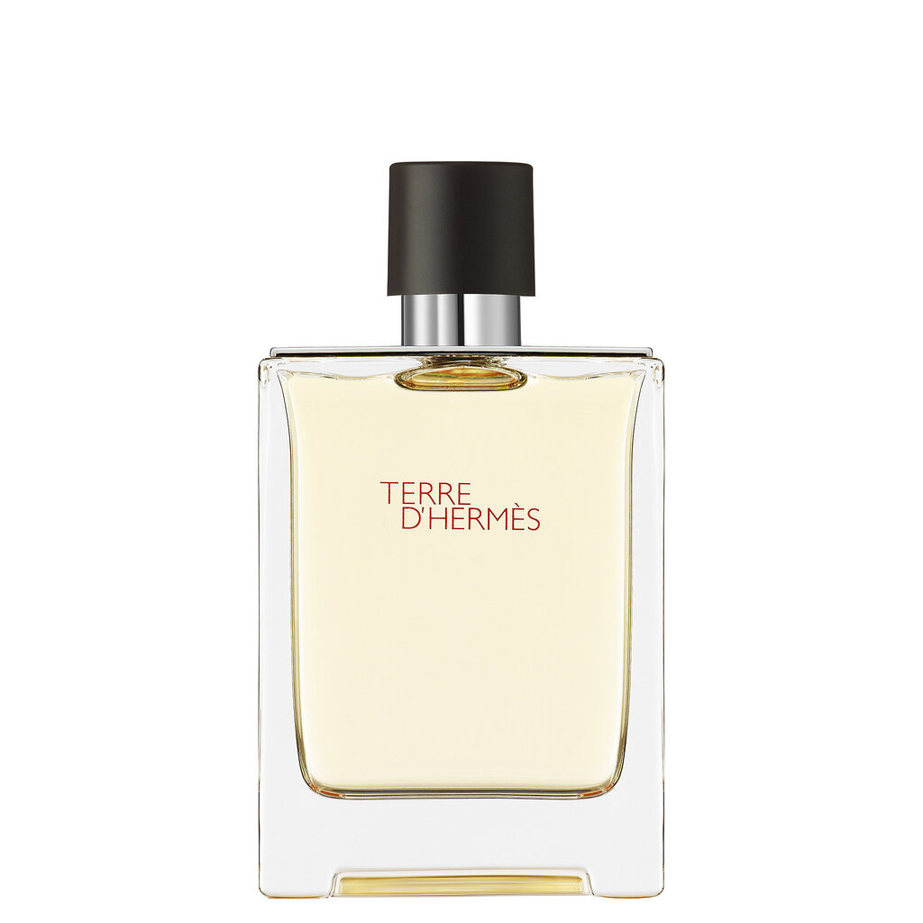 Hermes Terre D´Hermes dāvanu komplekts EDT 100 ml cena un informācija | Vīriešu smaržas | 220.lv