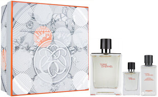 Туалетная вода Hermes Terre D´Hermes EDT 100 мл + бальзам после бритья Terre D´Hermes 40 мл + миниатюра Terre D´Hermes EDT 12,5 мл цена и информация | Мужские духи | 220.lv