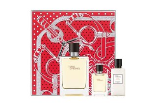 Туалетная вода Hermes Terre D´Hermes EDT 100 мл + бальзам после бритья Terre D´Hermes 40 мл + миниатюра Terre D´Hermes EDT 12,5 мл цена и информация | Мужские духи | 220.lv