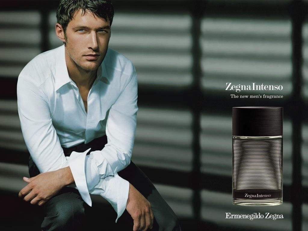 Tualetes ūdens Ermenegildo Zegna Intenso EDT 50 ml cena un informācija | Vīriešu smaržas | 220.lv