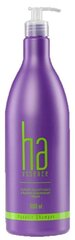 Stapiz Ha Essence Aquatic Revitalising Shampoo šampūns 1000 ml cena un informācija | Šampūni | 220.lv