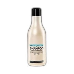 Dziļi attīrošs matu šampūns Stapiz Basic Salon 1000 ml cena un informācija | Šampūni | 220.lv