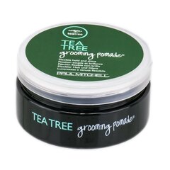 Matu veidošanas pomāde Paul Mitchell Tea Tree 85 g cena un informācija | Matu veidošanas līdzekļi | 220.lv