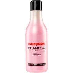 Stapiz Basic Salon Fruit šampūns 1000 ml цена и информация | Шампуни | 220.lv