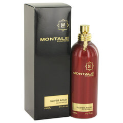 Parfimērijas ūdens Montale Paris Silver Aoud edp 100 ml цена и информация | Мужские духи | 220.lv