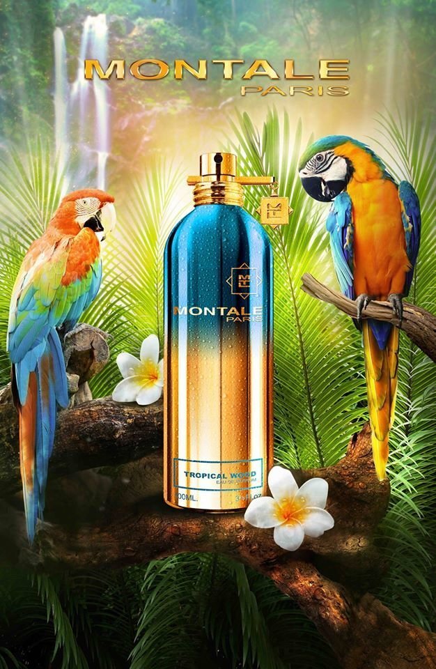 Parfimērijas ūdens Montale Paris Tropical Wood EDP sievietēm/vīriešiem 100 ml cena un informācija | Sieviešu smaržas | 220.lv